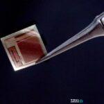 Το εμφύτευμα που συνδέει τον ανθρώπινο εγκέφαλο απευθείας με την Τεχνητή Νοημοσύνη