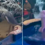 Άναψε τσιγάρο σε θεματικό πάρκο και… τον έλουσε φάλαινα μπροστά σε όλους! ( VIDEO )