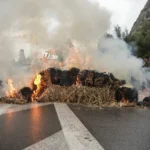 Οι αγρότες κλιμακώνουν τις κινητοποιήσεις – Μπλόκα σε δρόμους και τελωνεία σε όλη τη χώρα Οι αγρότες κλιμακώνουν τις κινητοποιήσεις – Μπλόκα σε δρόμους και τελωνεία σε όλη τη χώρα