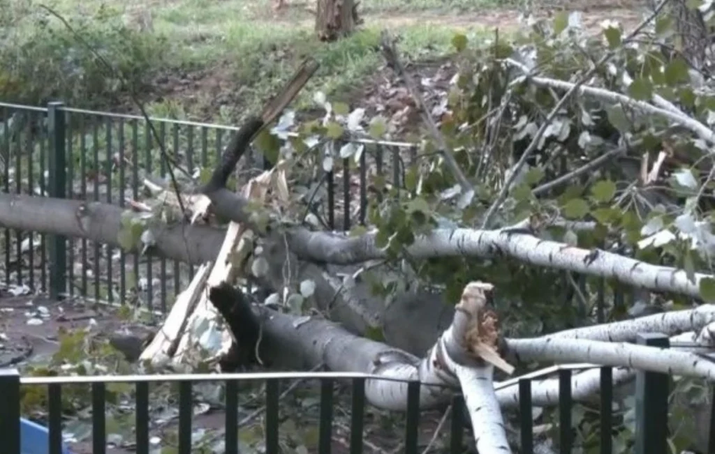 paidiki xara 768x432 1.jpg