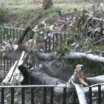 paidiki xara 768x432 1.jpg