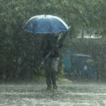 shutterstock vroxi.jpg