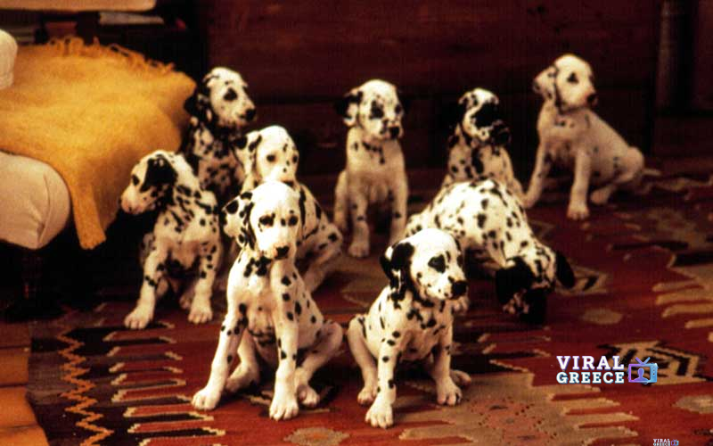 1ο1 dalmatians 1996