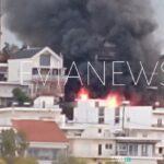 4 1 1163x736 1 740x420 Viral Greece