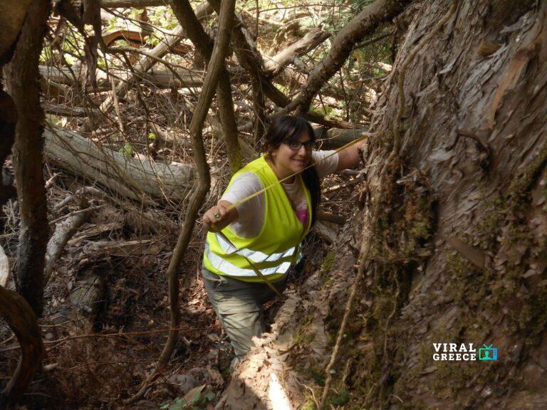 92135Metrisi+perimetrou