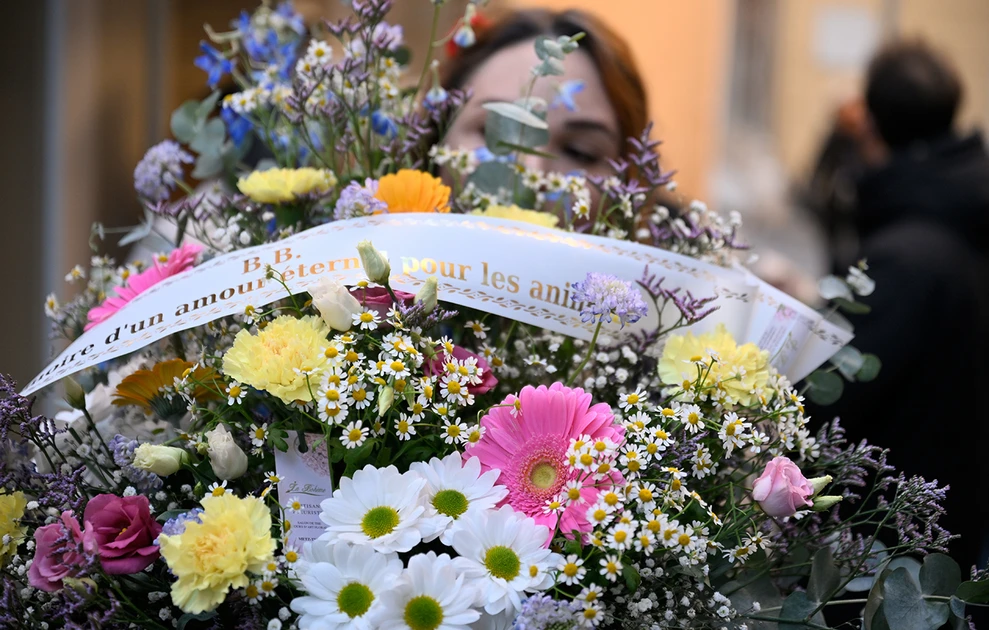 Brigitte Bardot3.jpg