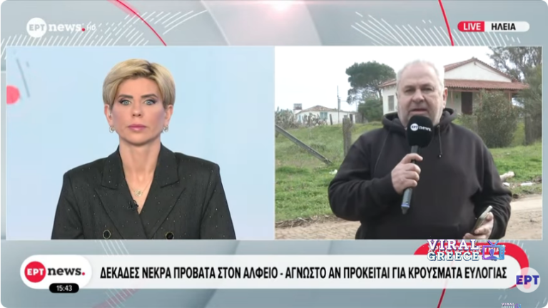 Ηλεία: Δεκάδες νεκρά πρόβατα στον Αλφειό – Παρέμβαση εισαγγελέα και φόβοι για ευλογιά (video) Screenshot 2026-01-30 at 20-39-19 YouTube