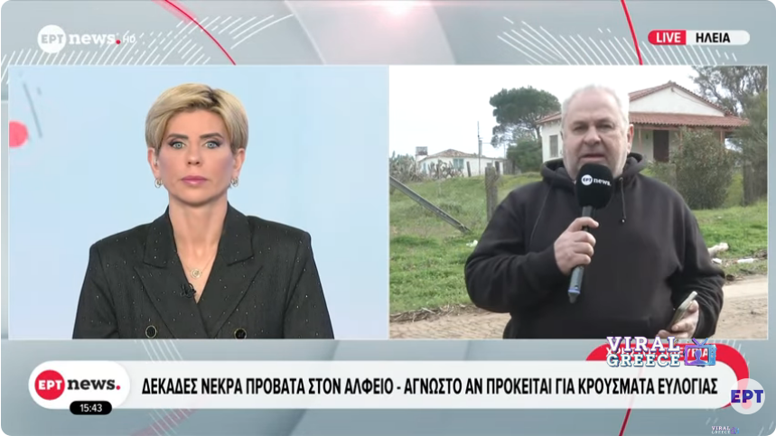 Ηλεία: Δεκάδες νεκρά πρόβατα στον Αλφειό – Παρέμβαση εισαγγελέα και φόβοι για ευλογιά (video) Screenshot 2026-01-30 at 20-39-19 YouTube