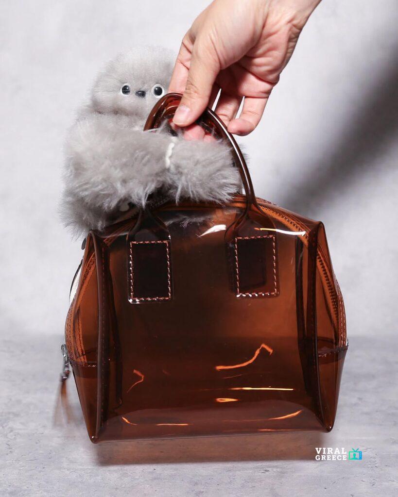 Mirumi: Το διαδραστικό λούτρινο-ρομπότ που ετοιμάζεται να διαδεχθεί τα Labubu και να γίνει το νέο viral του 2026 SnapInsta.to 482117043 17849337237411005 653682867047643417 n