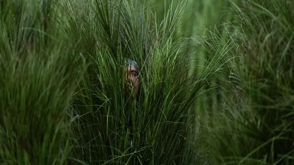 7b92892f ap26040049978233