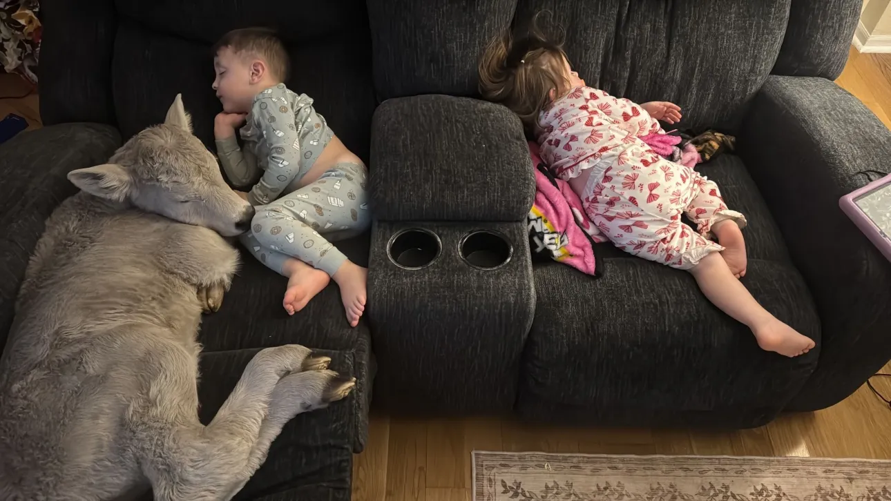 82af327f-ap26029618365204