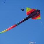 ajel kite 1013230 1920 Viral Greece