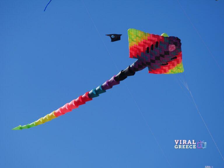 ajel-kite-1013230_1920