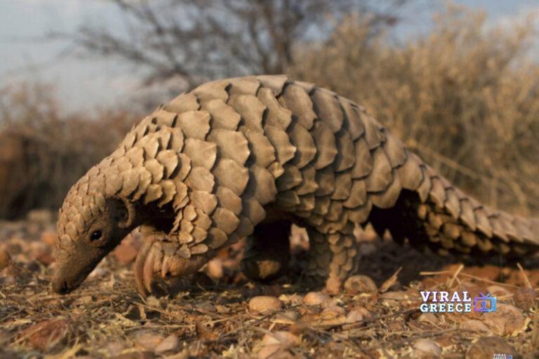 daf9cfaebd5c272d9a610b6547dffeb2_XL