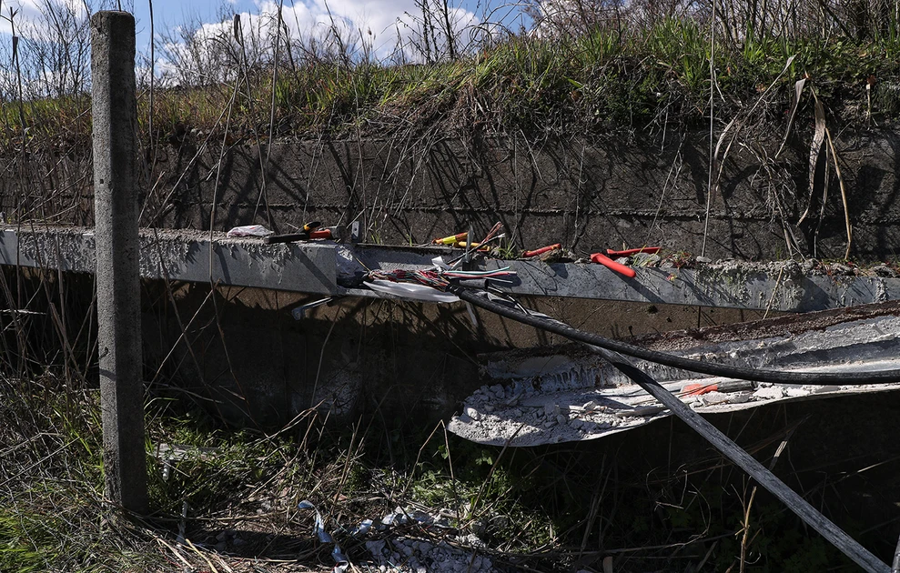 doliofthora trena5.jpg