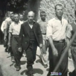 screenshot 46 768x570 Viral Greece