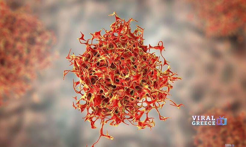 Αποχαρακτηρισμένο έγγραφο της CIA προκαλεί συζητήσεις για πιθανή θεραπεία του καρκίνου 1645458137499-626866731-KARKINOS