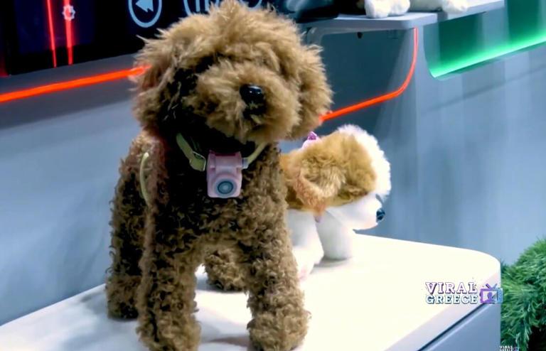 MWC 2026: Παρουσιάστηκε smartphone για κατοικίδια – Μπορείς να… τηλεφωνήσεις στον σκύλο σου AA1XszkE.img