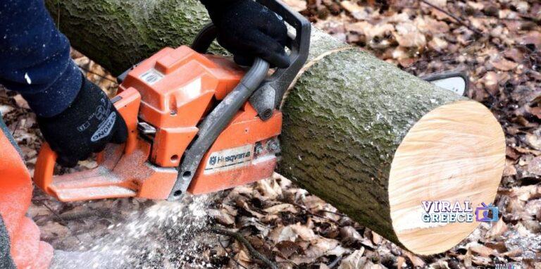 Θεσσαλονίκη: Σκότωσε εργάτη ενώ έκοβαν παράνομα ξύλα και τον εγκατέλειψε Ergaleia_kopis_ksilou__6