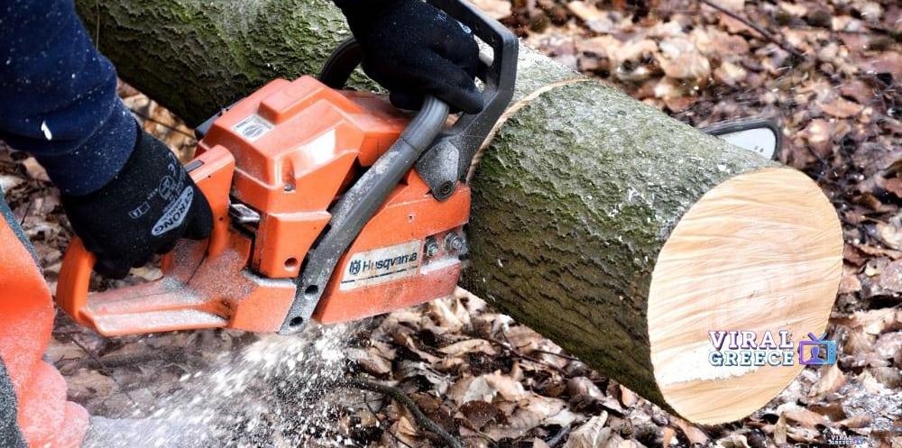 Θεσσαλονίκη: Σκότωσε εργάτη ενώ έκοβαν παράνομα ξύλα και τον εγκατέλειψε Ergaleia_kopis_ksilou__6