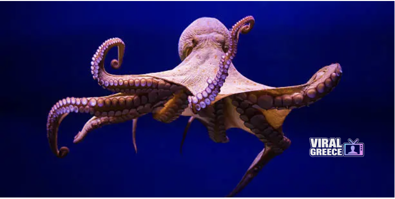 Screenshot 2026-03-18 at 14.13.23