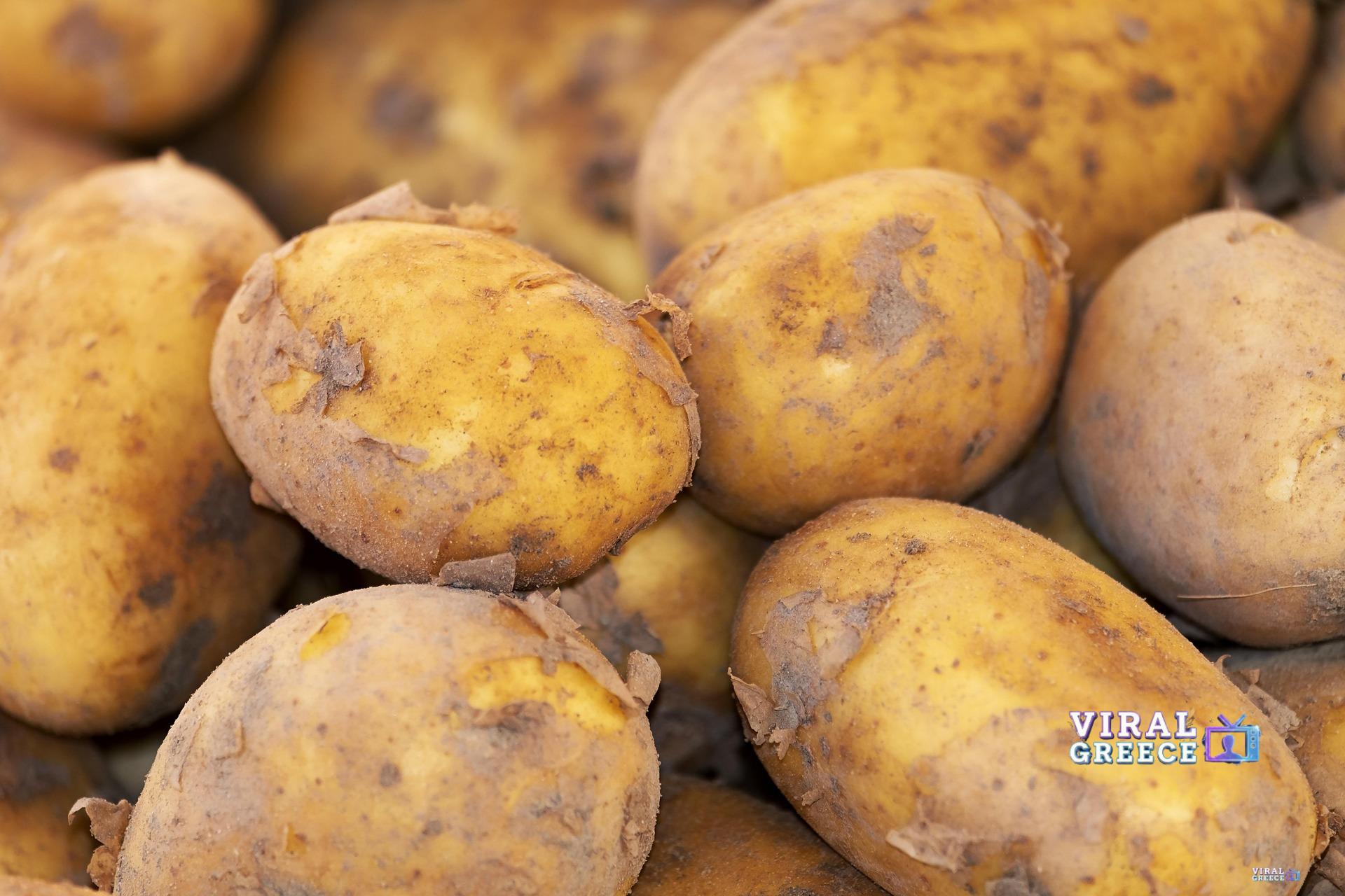couleur-potato-3440360_1920
