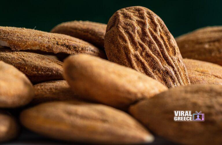 Αμύγδαλα: Τι συμβαίνει στο σώμα όταν τα τρώτε καθημερινά – Πόσα είναι η σωστή ποσότητα martin_hetto-almond-5120350_1920