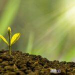 nature design investment 5241253 1920 Viral Greece