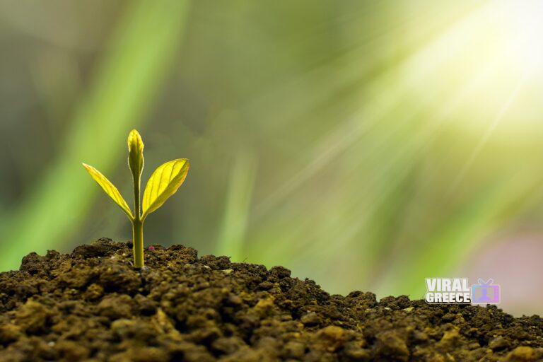 nature_design-investment-5241253_1920