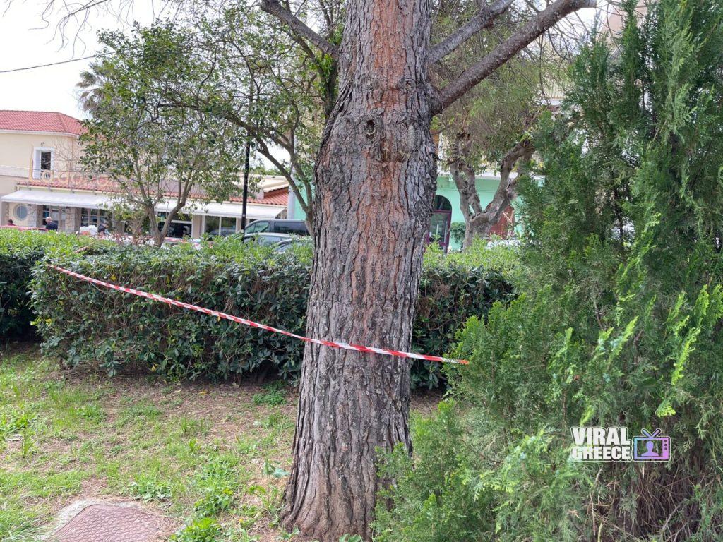 Τρεις συλλήψεις για τον θάνατο 19χρονης στην Κεφαλονιά – Στο μικροσκόπιο βίντεο και καταθέσεις 19xroni nekri kefalonia 1 1024x768 1