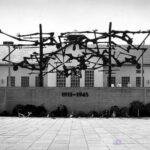 Dachau 2 Viral Greece