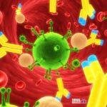 Immunology Viral Greece