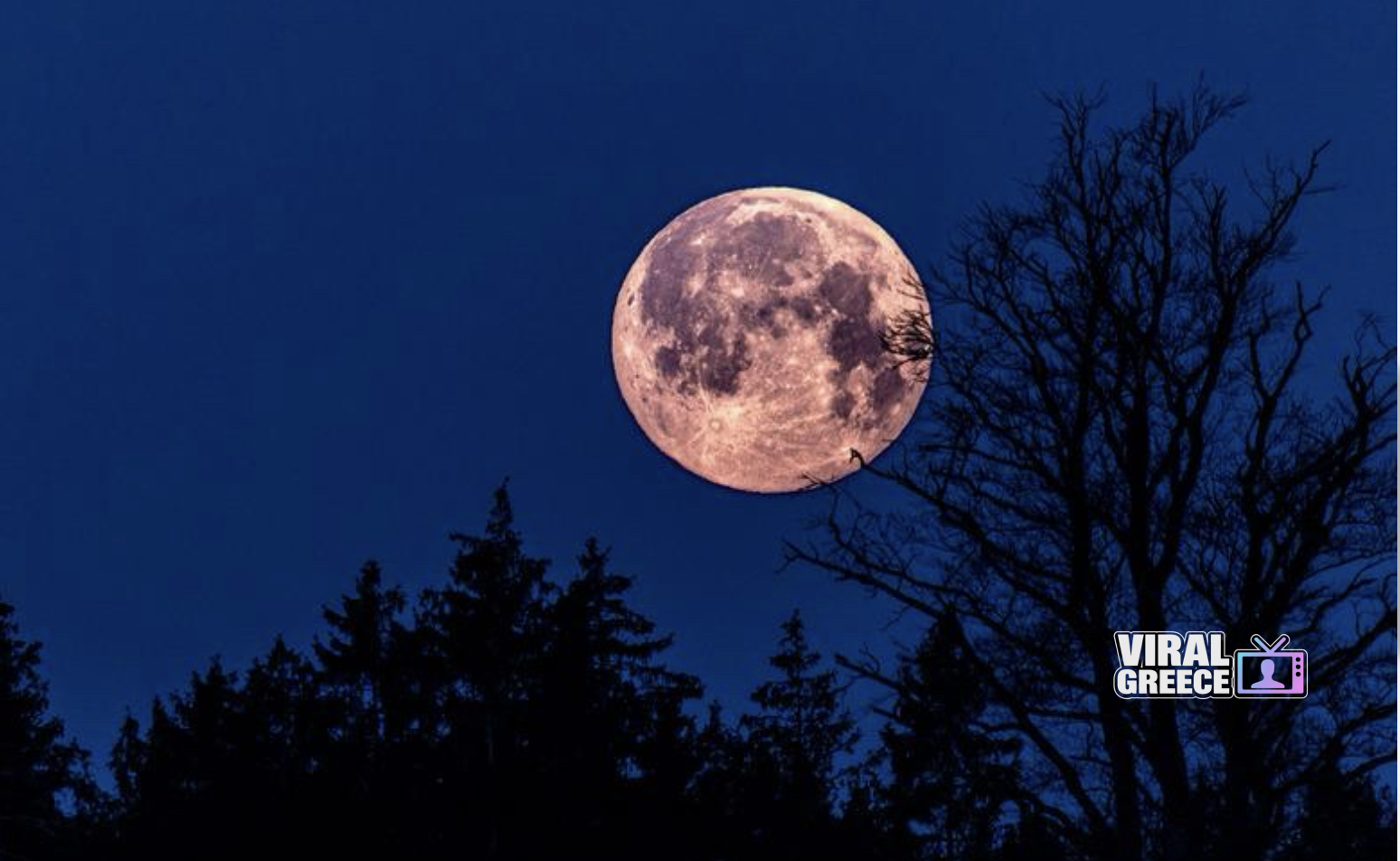 Screenshot 2026-04-02 at 15.04.17