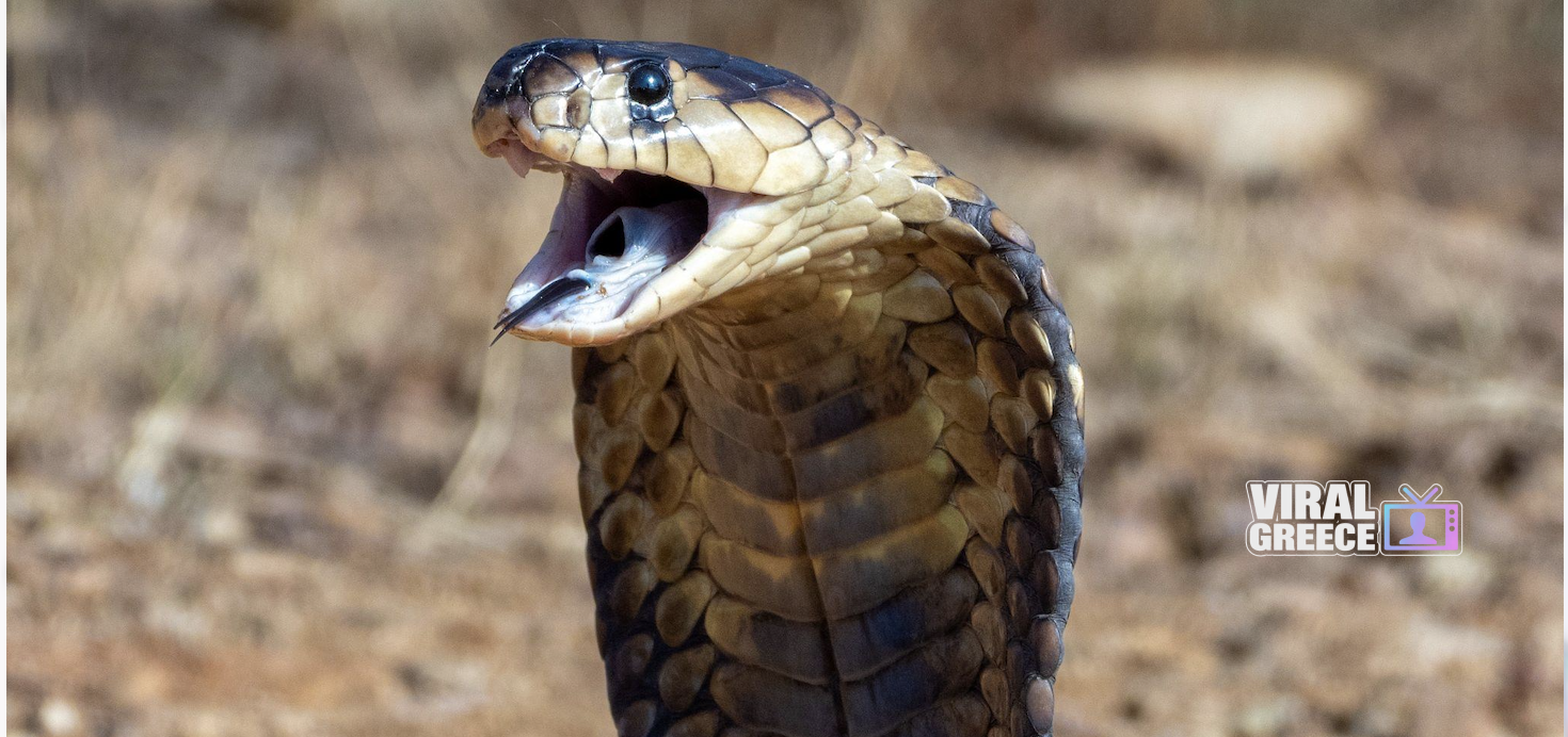 Screenshot 2026 04 28 at 11.13.40