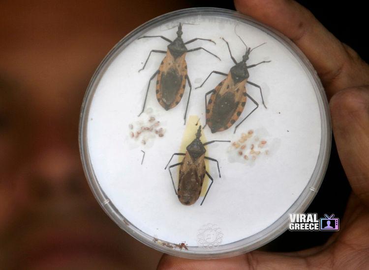 Παγκόσμια Ημέρα για τη Νόσο Τσάγκας World_Chagas_Disease_Day