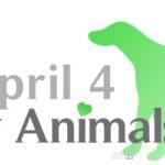 World Stray Animals Day top Viral Greece