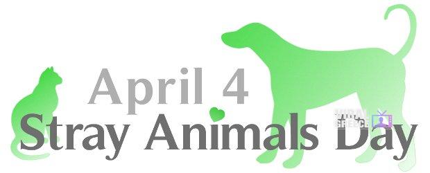 World_Stray_Animals_Day-top