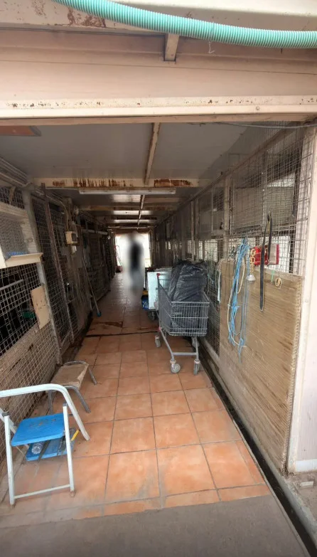 ampelokipoi kotetsi a.jpg