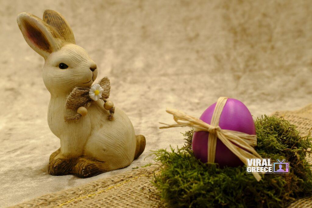 bru no easter 3163350 1920 Viral Greece