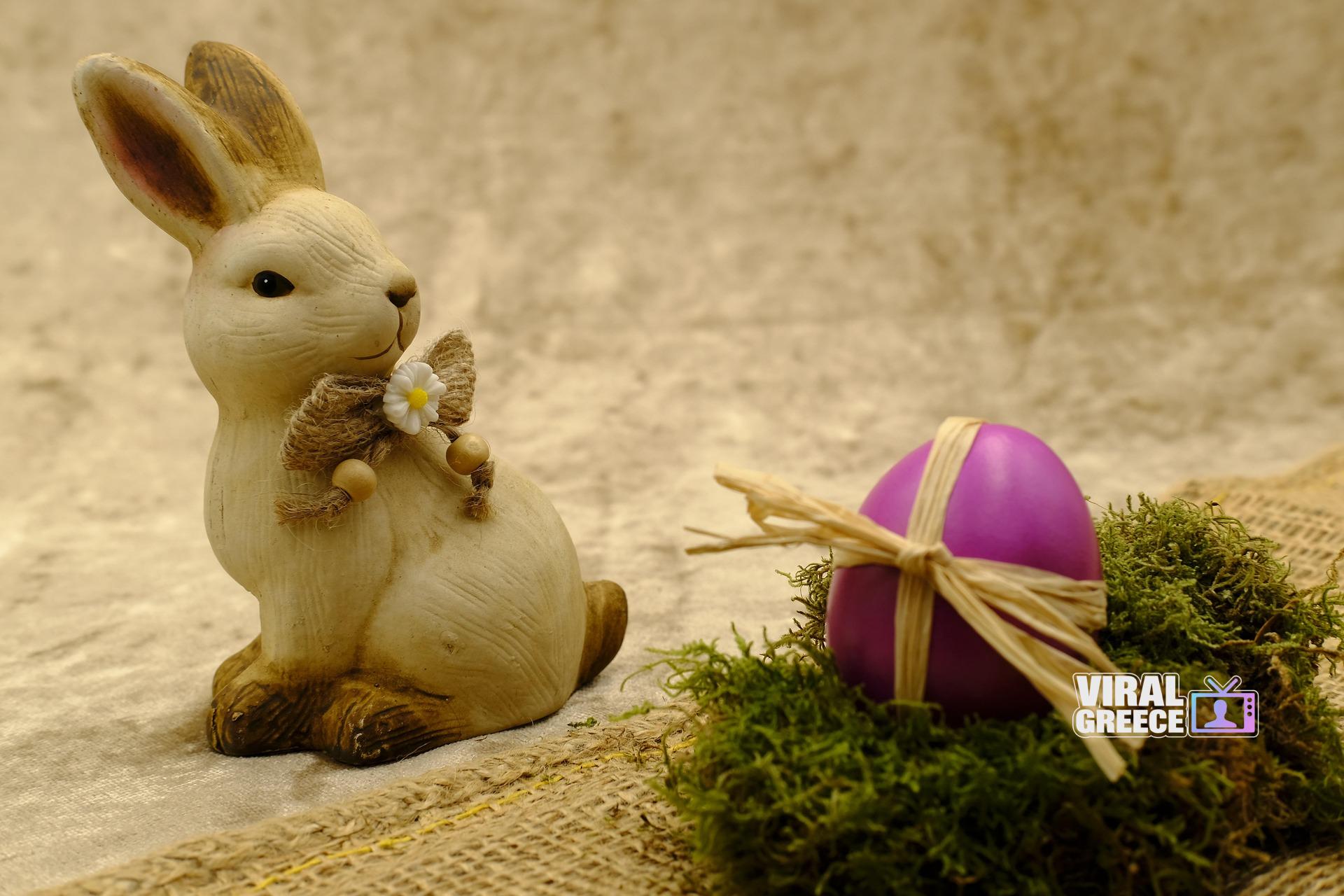 bru-no-easter-3163350_1920