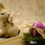 bru no easter 3163350 1920 Viral Greece