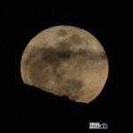 e2c54b9030253c973c0e38fc58bff346_M