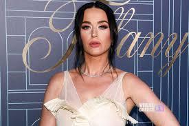 Καταγγελίες κατά της Katy Perry: Τι λέει πρώην μάνατζερ για το περιστατικό με τη Ruby Rose images-6
