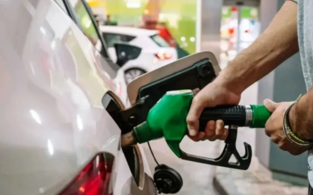 kausima-1-rkfuy1efvm0dhllwsec8lvctjd3e2s7q7f78y2t88w