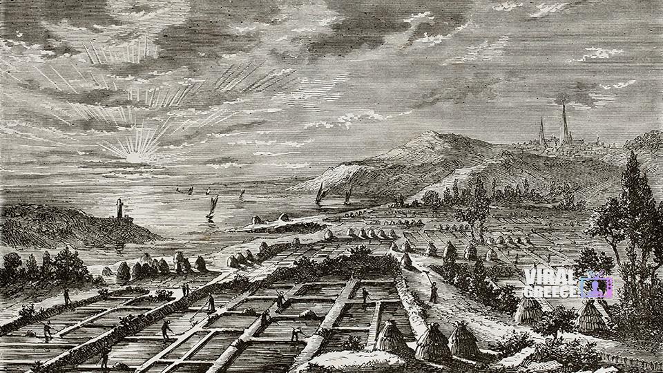 shutterstock_74142556