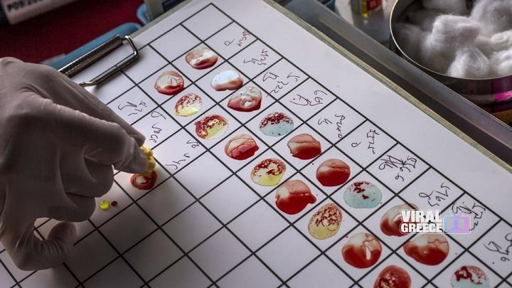 w02-105556bloodtest800454