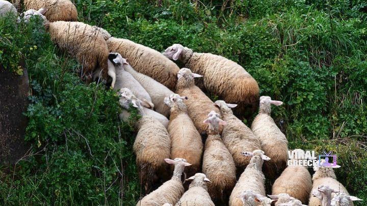 w02-145809w23130717w23102931w04163753w1371523w10130230w3019295417590978