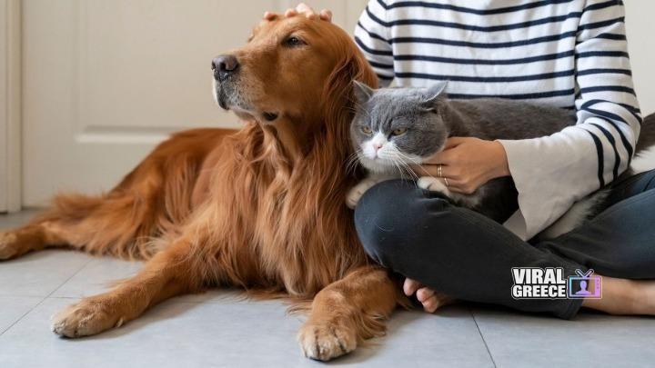 w28 164413w0981051zoasintrofiasr6irplcidp7989z72hvndpsrwwfe9htkvmy7cu0r2o