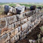 w29 114952 Viral Greece