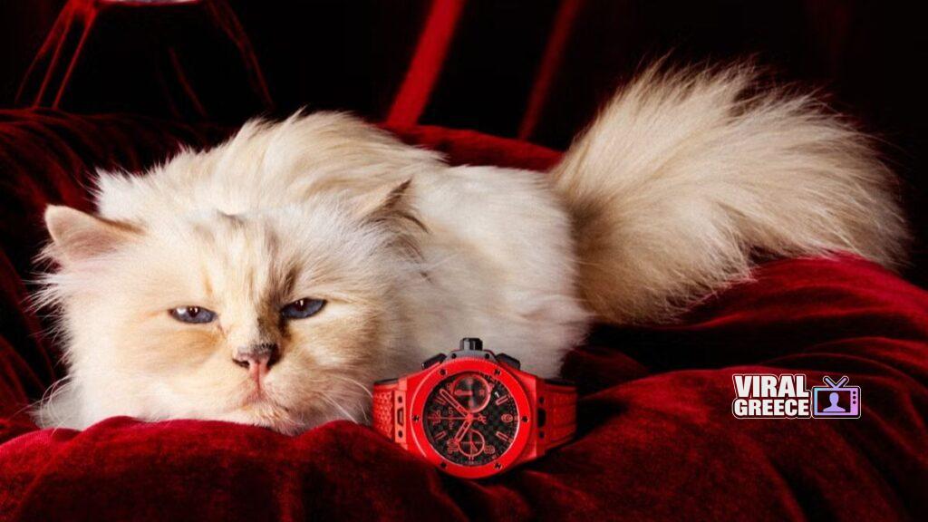 Choupette Viral Greece